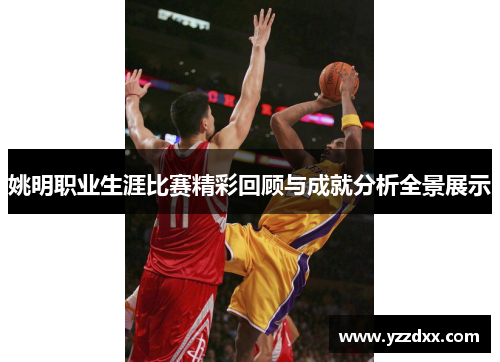 姚明职业生涯比赛精彩回顾与成就分析全景展示